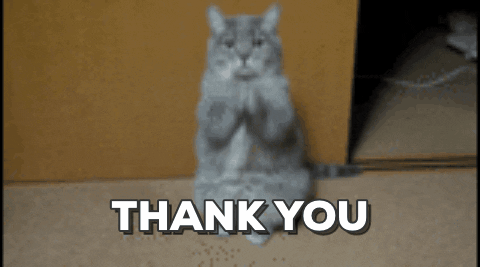 Thank you gif